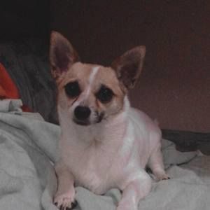 Meet your Posher, Julia maxine